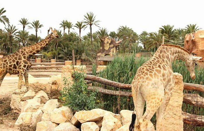 Rio safari Elche Alicante